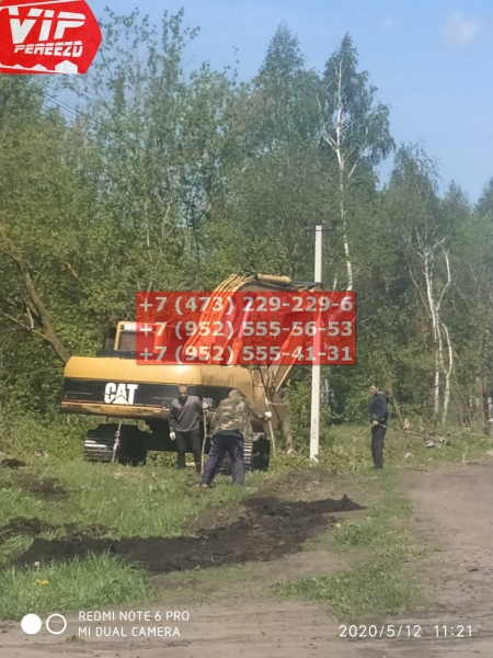 Спил деревьев у дороги