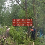 IMG-20200512-WA0080