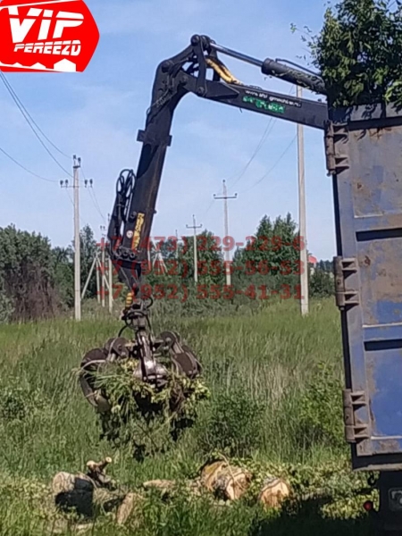 Аварийный спил дерева