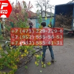 IMG-20191025-WA0673