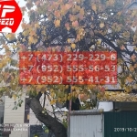 IMG-20191029-WA0124